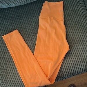 Paragon Sculptseam leggings